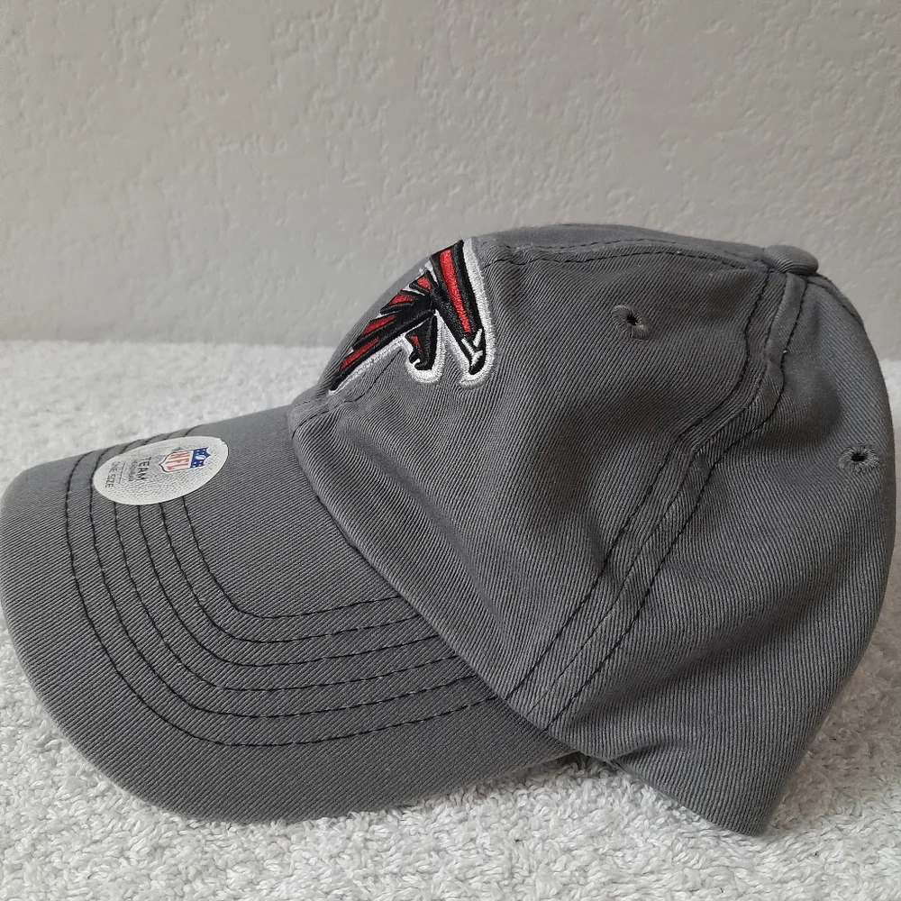 Falcon - Picture 2 of 5